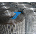 High Quality Welded Wire Mesh for Building